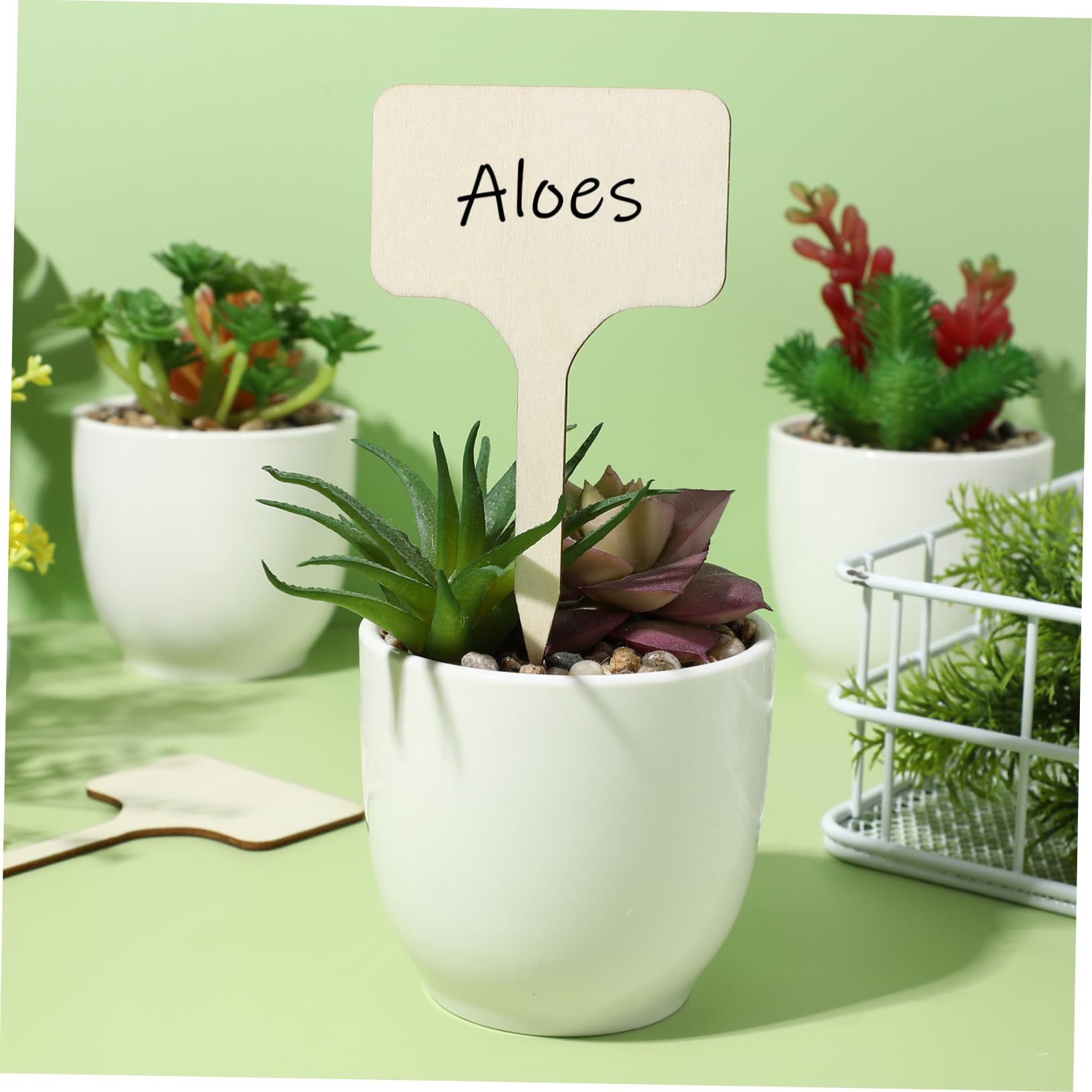 BESPORTBLE Lot De 4 Marqueurs De Plantes Pour Étiquettes De Nom De Plantes Insertion Facile Étiquettes De Plantes En Bois Signes 50 Pièces X 4