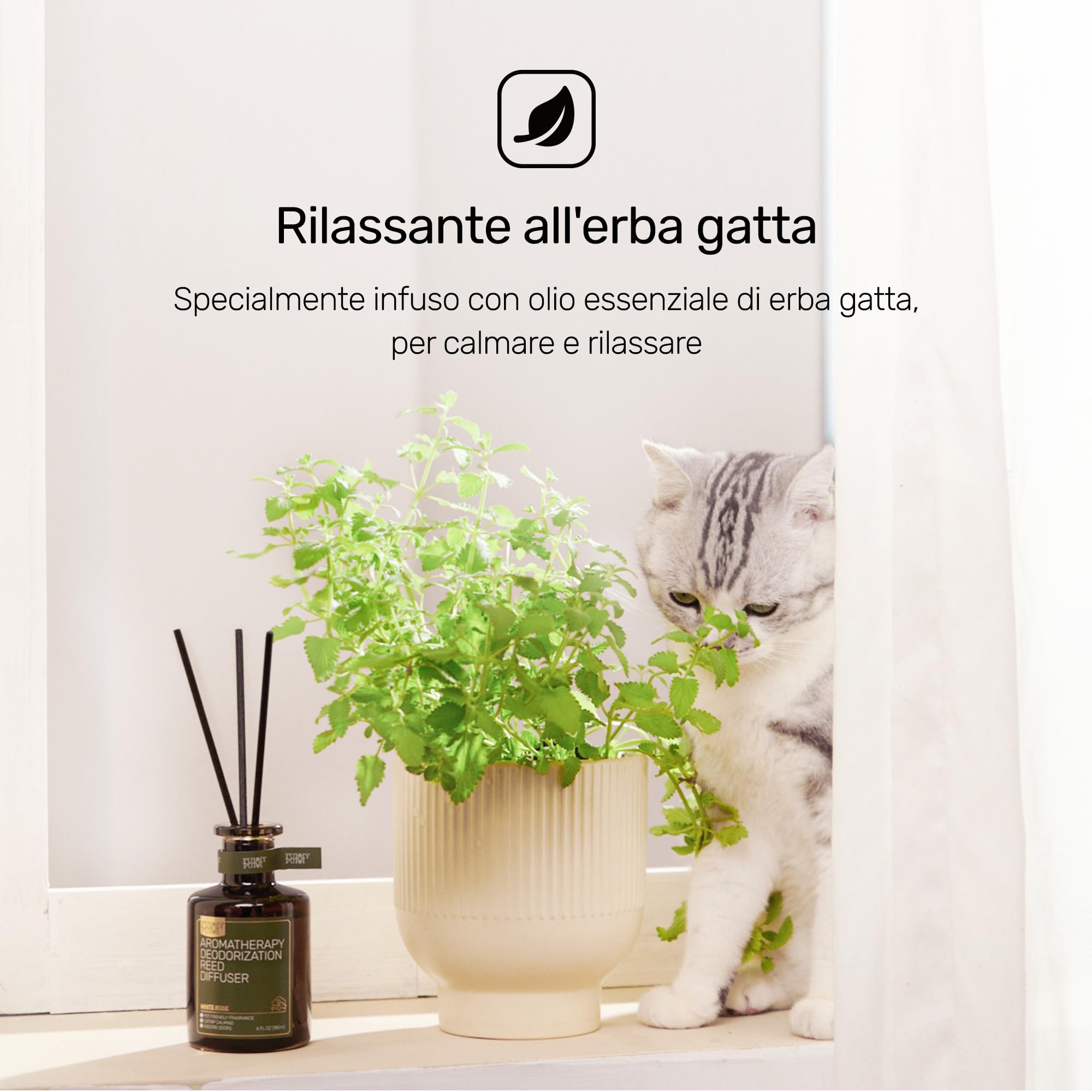 FURRYPURR Diffusore a Canna per Eliminazione Degli Odori Degli Animali Domestici, Lavanda Cedro, 180ml, Non Tossico e Animali Domestici Deodorante d'aria