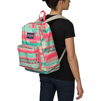 Amazon.com: JanSport Digibreak Malt Tan Boho Stripe One Size