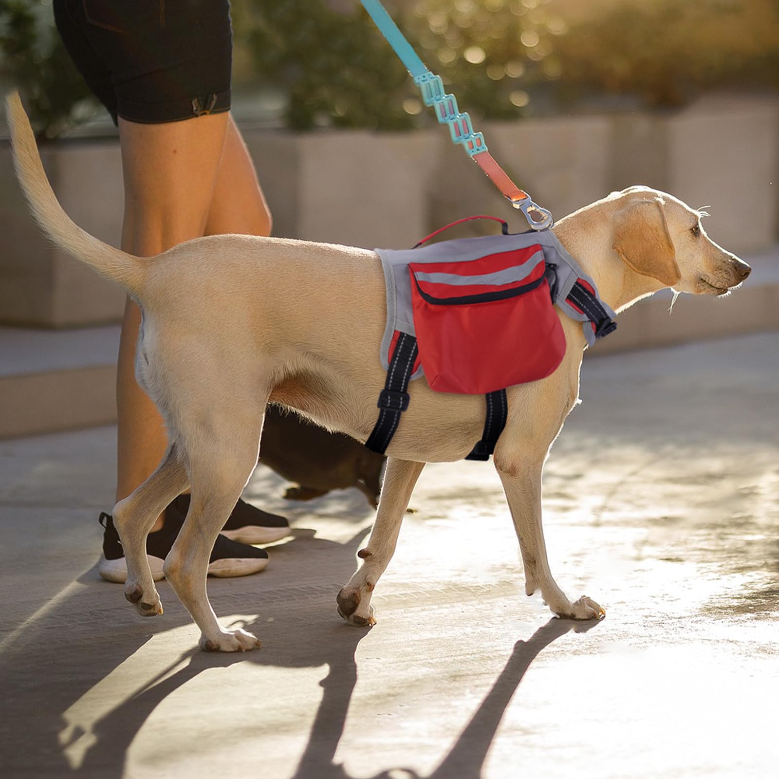 DENTRUN Zaino per cani con tasca laterale e tracolla regolabile, perfetto per viaggi con cani, escursioni e uso quotidiano