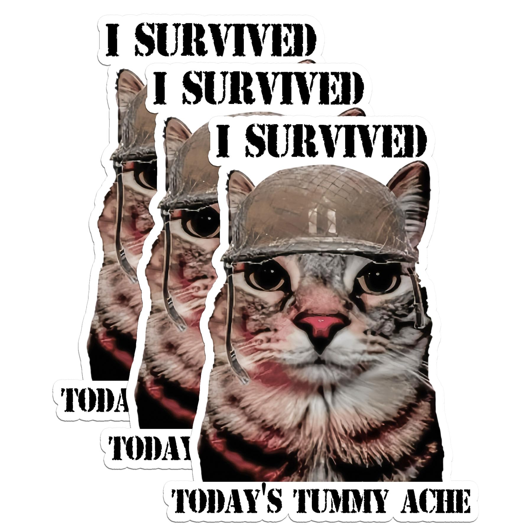 Pack 3 PCS 2" - I Survived Today’s Tummy Ache Cat Meme Sticker Funny Military Meme Cat Pet Trending Waterproof Vinyl Stickers for Water Bottle Tumbler