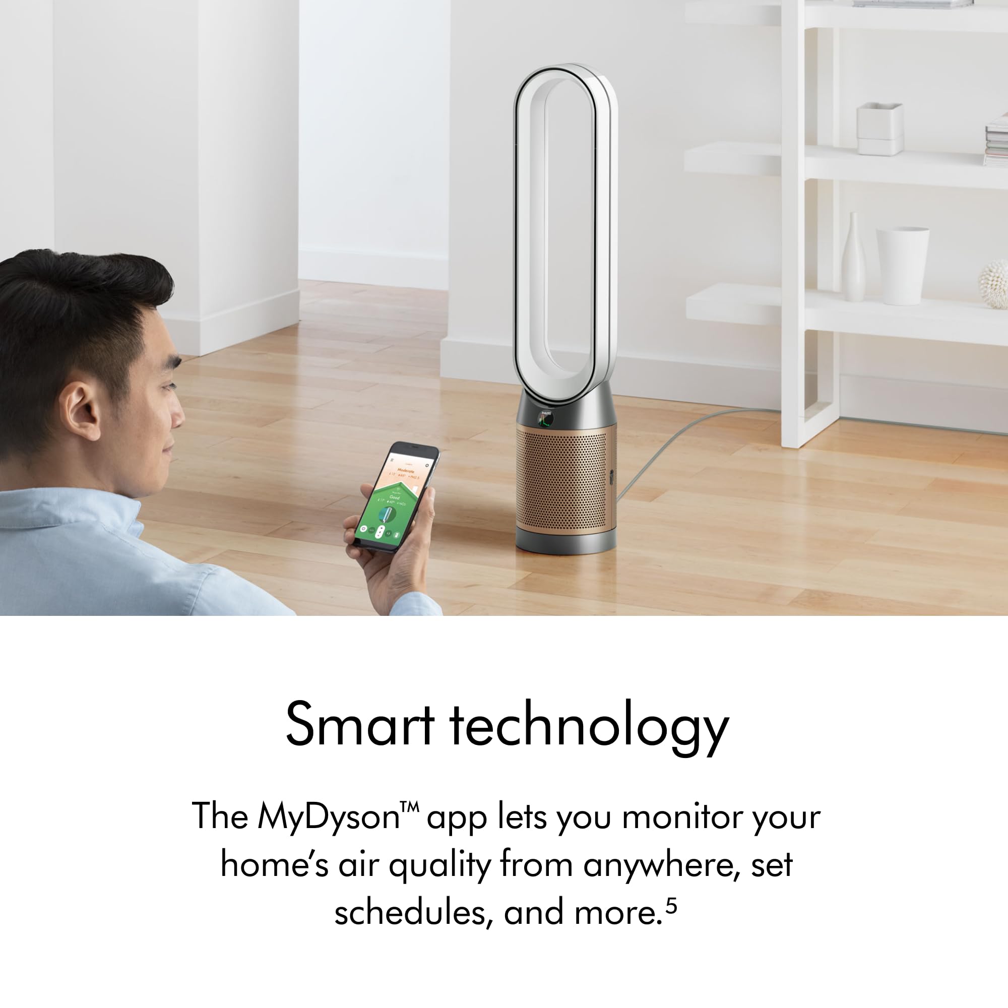 Dyson Purifier Cool PC2 De-NOx : Amazon.ca: Home