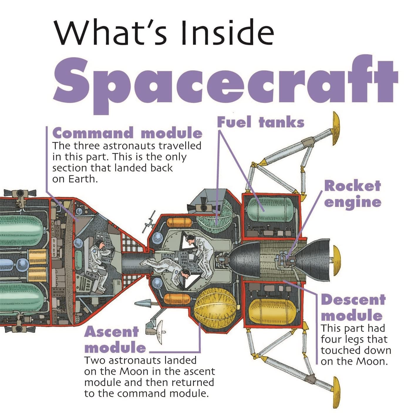Spacecraft (What's Inside?)