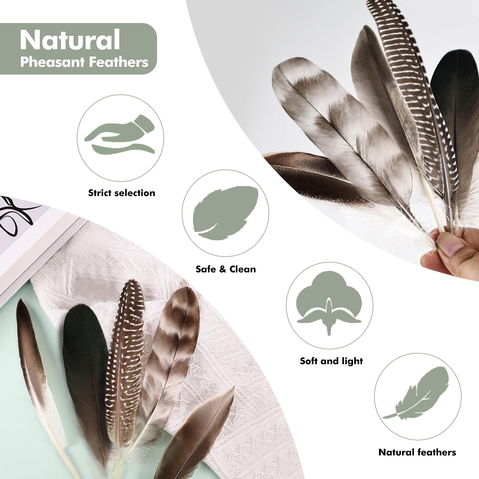 ENET Plumes de faisan nature 25-30 cm plumes queue pour décoration multicolore ENET Plumes de faisan nature 25-30 cm plumes queue pour décoration multicolore