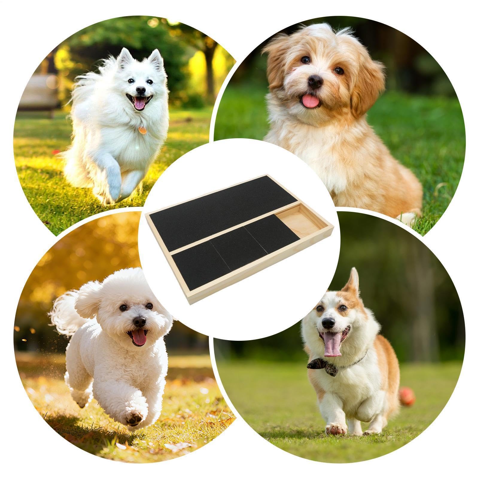 Planche à griffer pour chien Bloc de ponçage interactif avec compartiment à