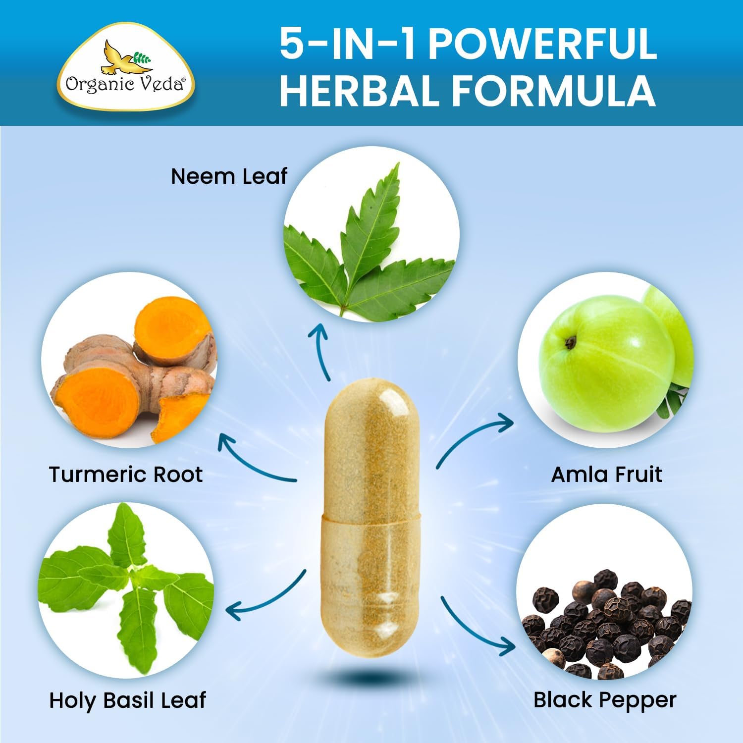 Organic Veda Neem Turmeric Capsules - 5 in 1 Herbal Complex with Amla Fruit, Holy Basil, Black Pepper - Immune, Cleanse, Skin & Gut Health Supplement with Vitamin C & Antioxidants 120 Vegan Capsules - Image 4