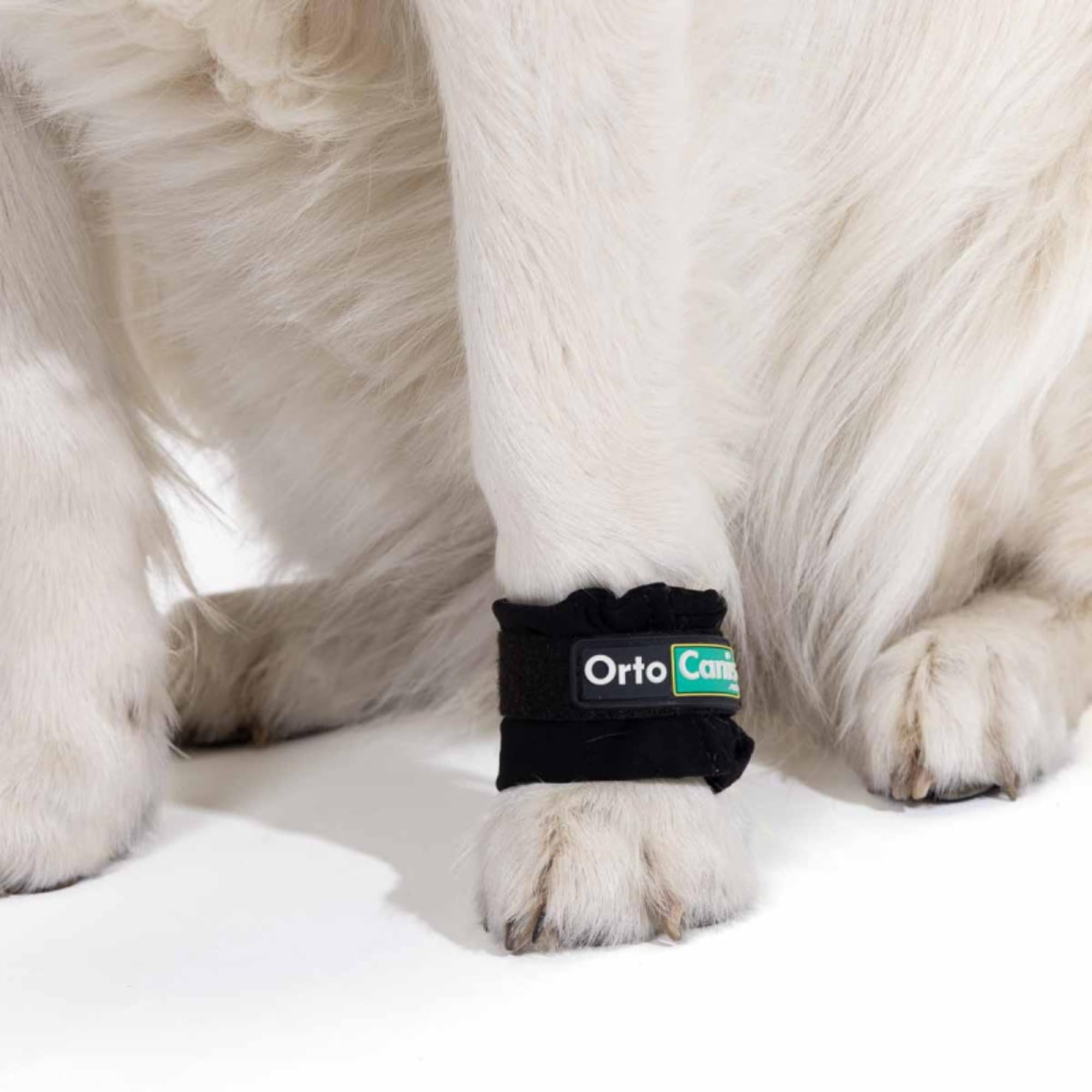 Ortocanis - Poids pour Chiens - Renforcement Musculaire et Rééducation des Membres et des Pattes - Taille : S 12-16 cm - De 50 à 100 gr - Nylon et Velcro Résistant - Facile à Utiliser et à Laver