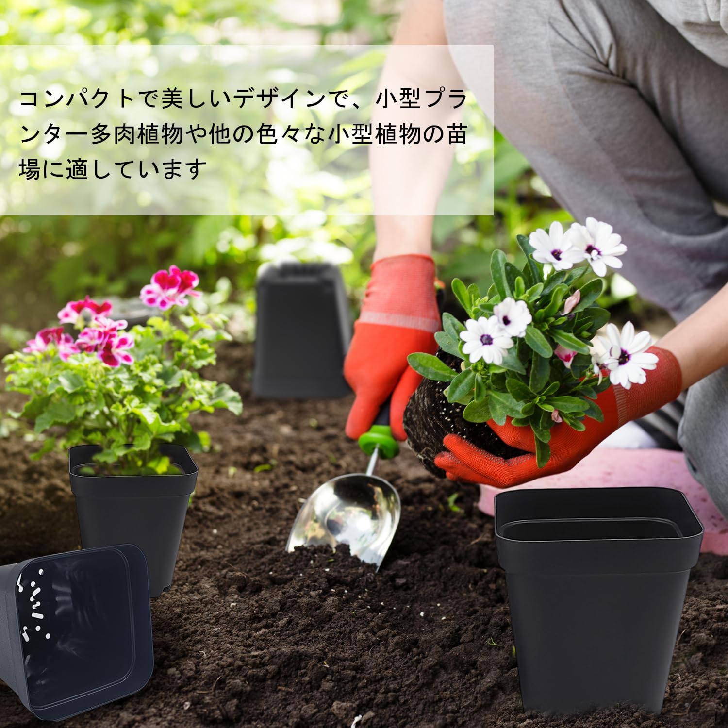 Amazon.co.jp: RooTrimmer 育苗ポット 40個セット 多肉植物用 スリット