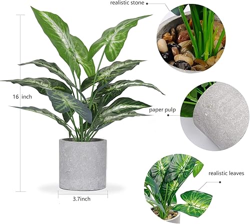 Miniatura 5 de Der Rose Paquete de suculentas artificiales y pequeñas plantas falsas de 16 pulgadas para oficina, escritorio, estantes, baño, decoración del hogar