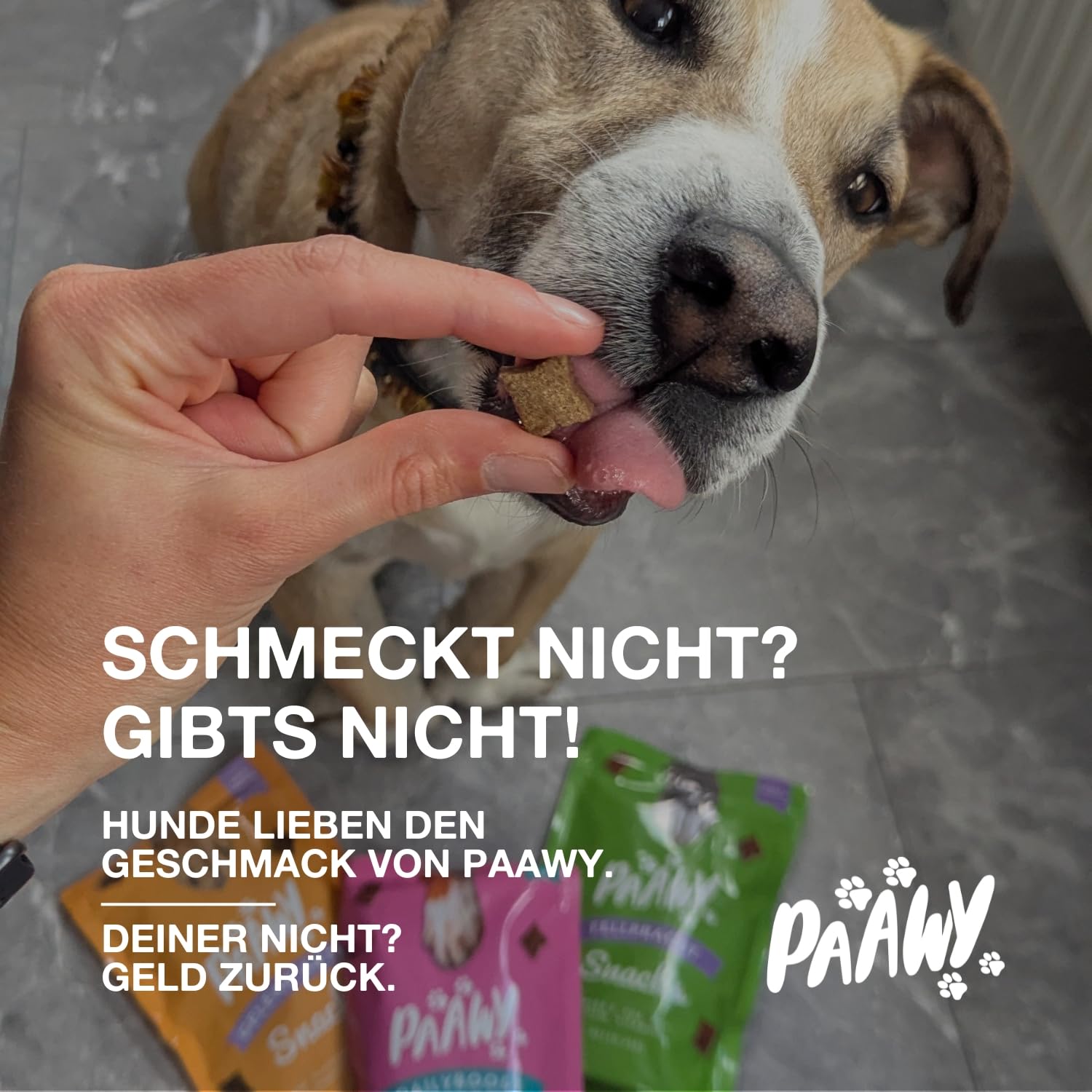 Gelenktabletten für Hunde von Paawy - Test SEHR GUT deutsche Marke - als Snacks mit Grünlippmuschel, MSM, Glucosamin, Chondroitin - sehr hohe Akzeptanz, natürlich, laborgeprüft - 180 Stück