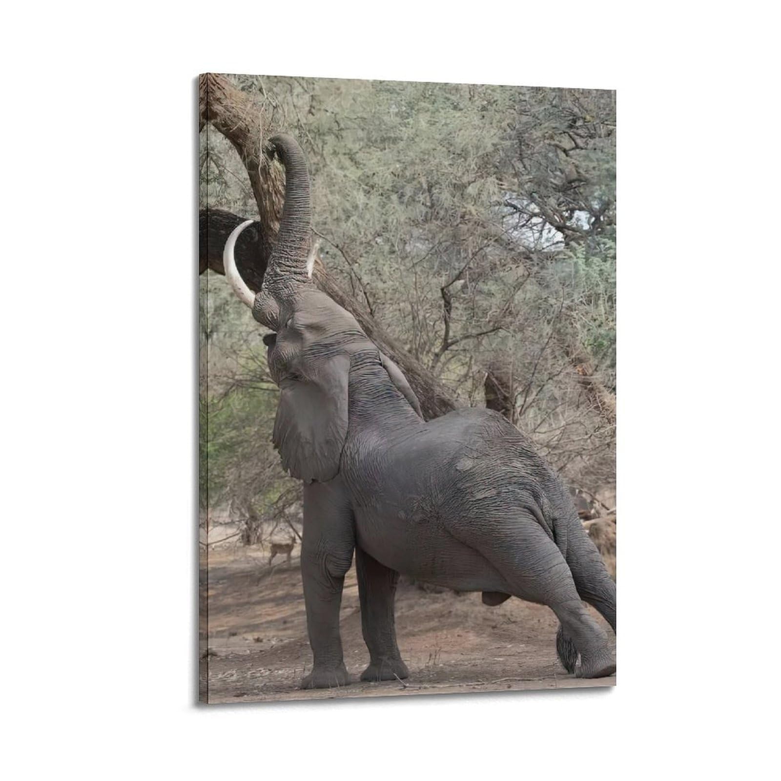 MJZLQN Animal Poster Reaching Elephant Poster Decorative Painting Canvas Wall Posters And Art Picture Print Modern Family Bedroom Decor Posters 20x30inch(50x75cm)