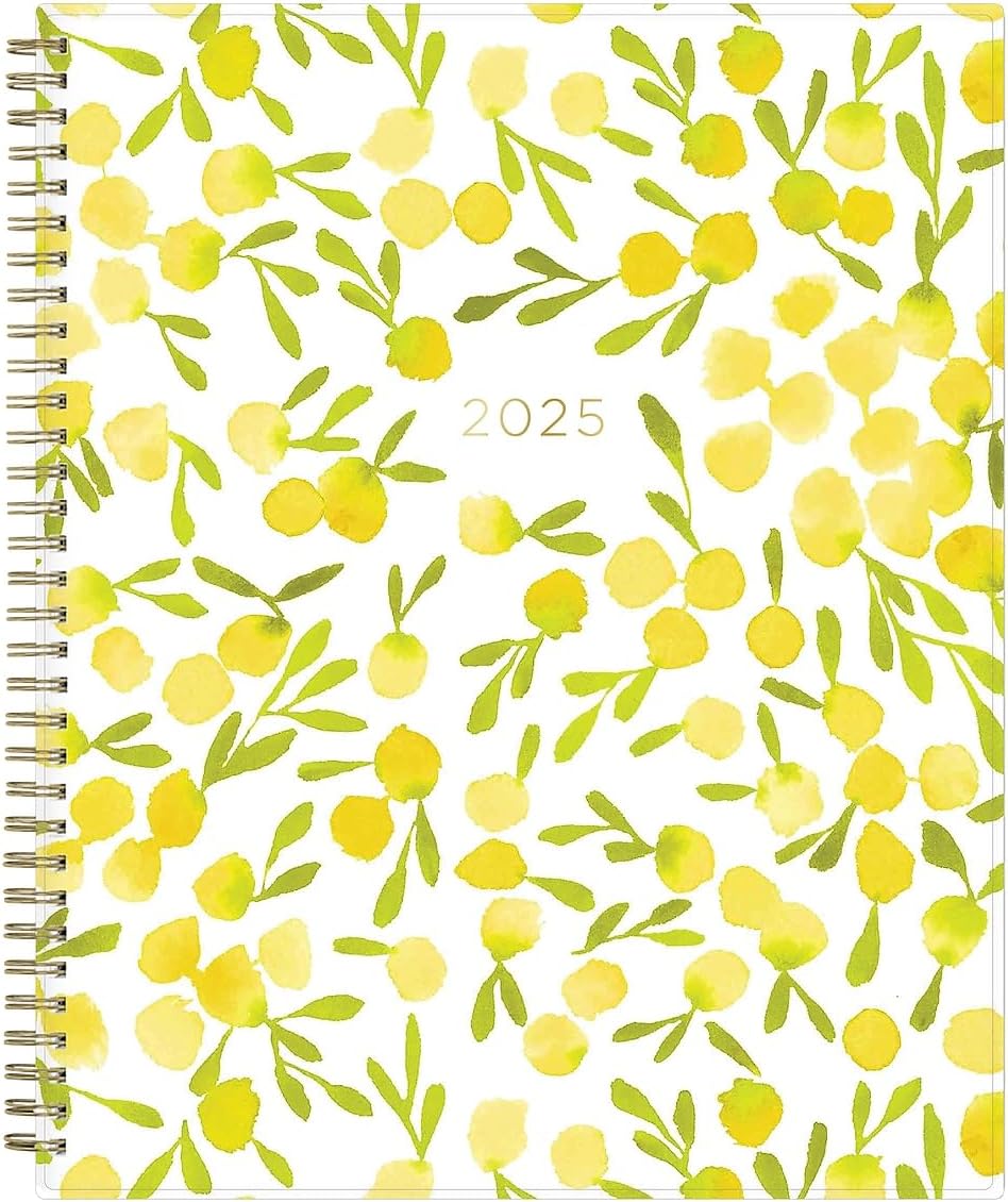 2025 Blue Sky Kelly Ventura Mimosa 8.5-inch x 11-inch Weekly & Monthly Planner, Plastic Cover, Yellow/White (149059-25)