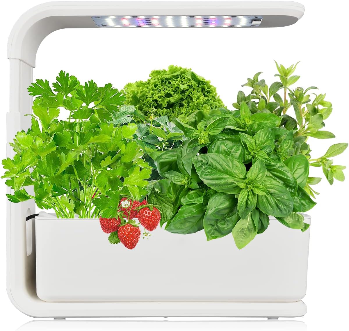 Hydroponics Growing System, DISNILA 3 Pods Herb Garden Kit Indoor with Grow Light, White Herb Garden Kit, Plant Germination Kit with Pump System and Automatic Timer ZY03-WHP