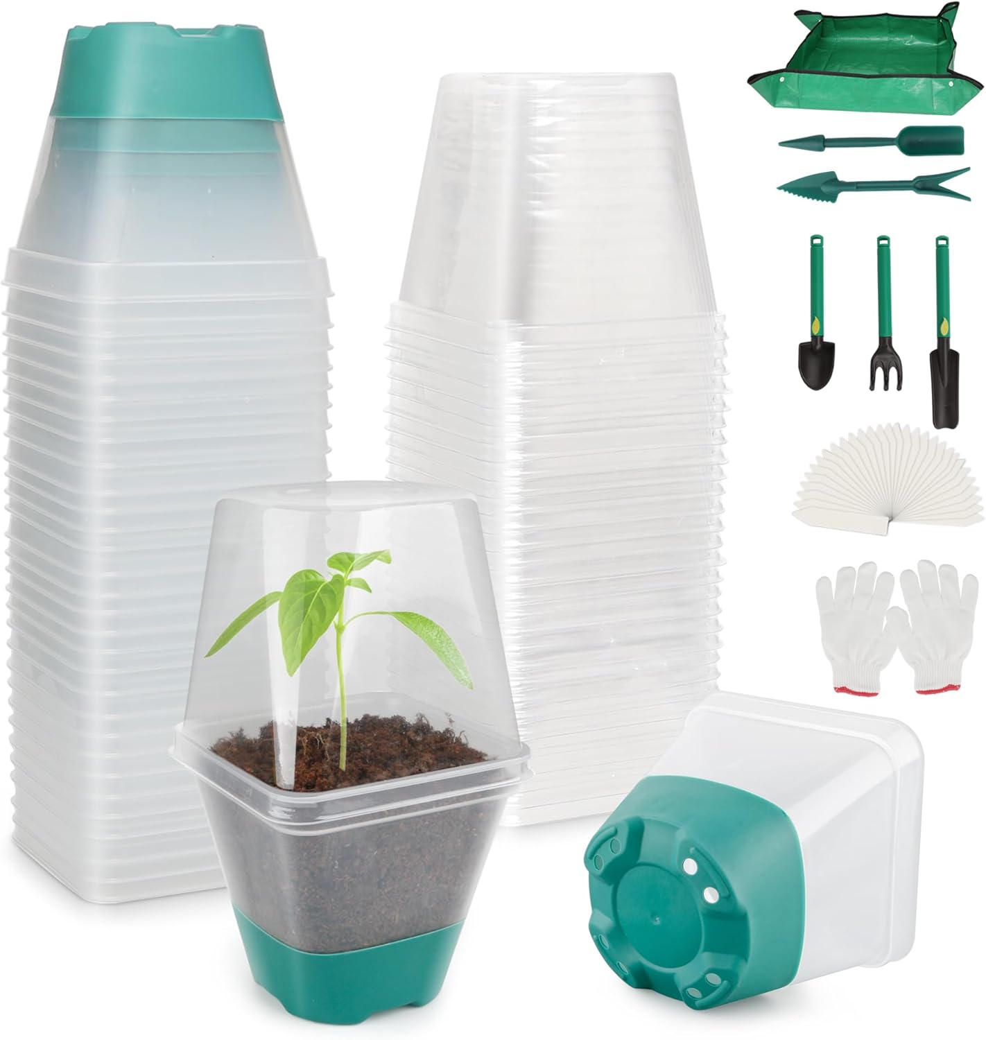 30 Packs Clear Nursery Pots with Plant Repotting Mat, Gloves, Labels,Humidity Domes,Seedling Tools, 3 Inch Plastic Plant Pot with Silicone Base and Drainage Holes, Reusable Seedling Pots