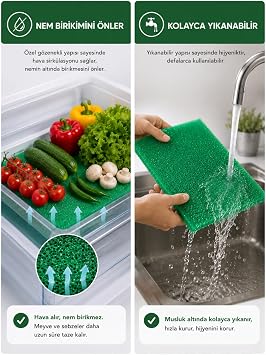 Beylini Buzdolabı Sebze Meyve Matı Rutubet Nem Küf Önleyici Meyve Sebze Saklama Taze Tutma Matı Kesilebilir Yeşil 47x30 CM