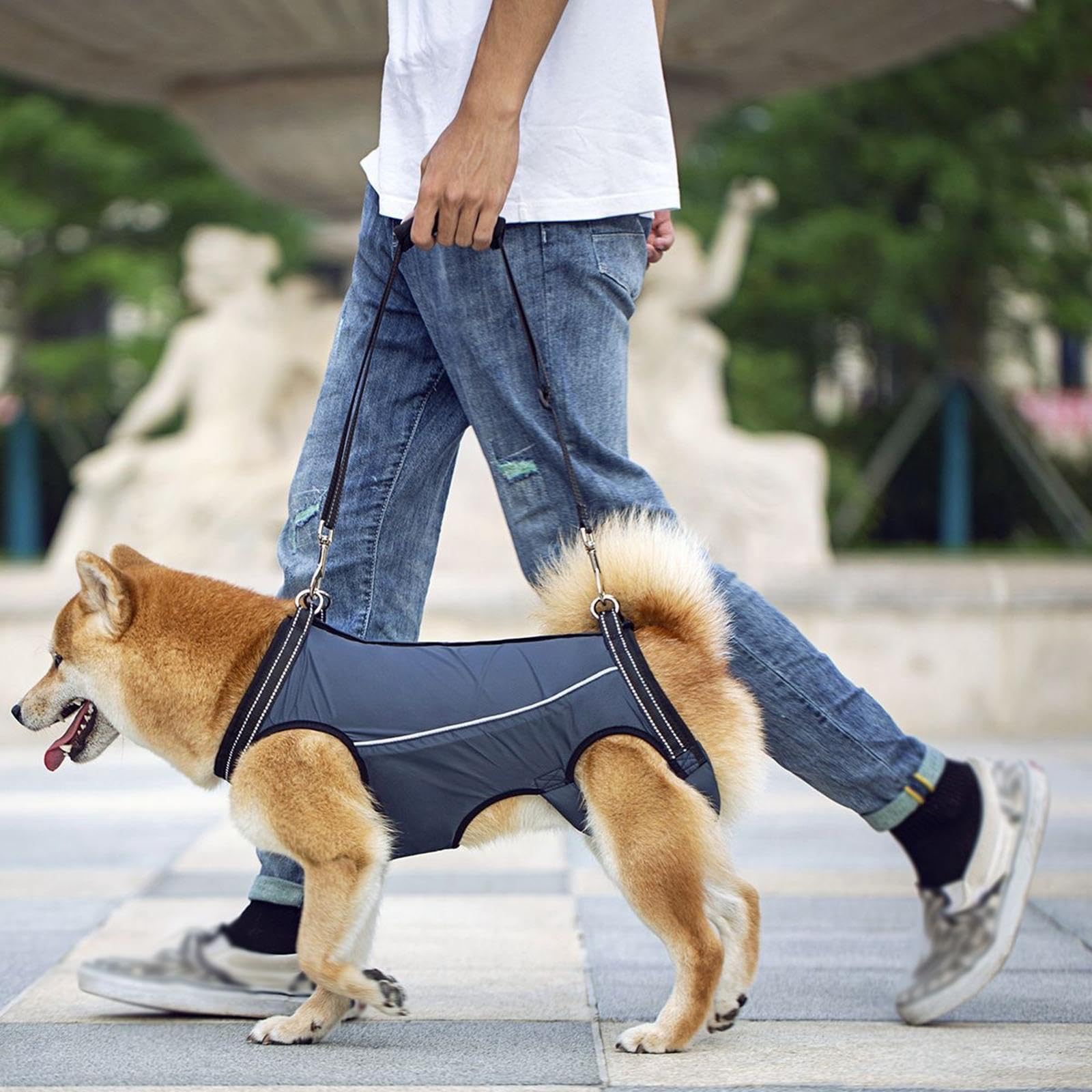 Homyl Arnés para Mascotas Correa Transporte Perro Arnés Levantamiento Portátil Acolchado Material Suave Transpirable Adecuado para Perros con Movilidad, SG