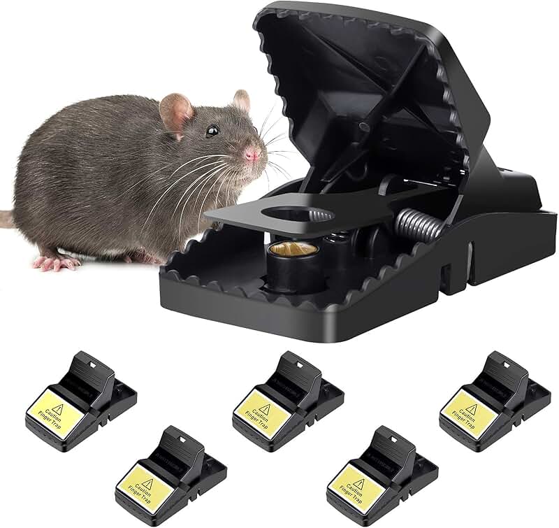 Amazon.co.uk rat trap