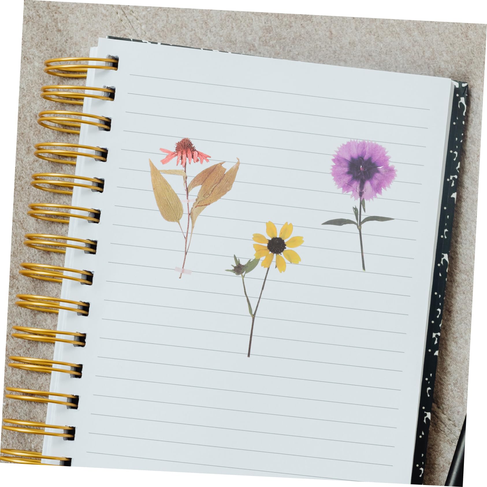DOITOOL Pegatinas Decorativas De Flores Secas Pack De Estilo Para Scrapbooking Y Manualidades Adornos Estéticos Para Álbumes Y Proyectos 6 Paquetes*4