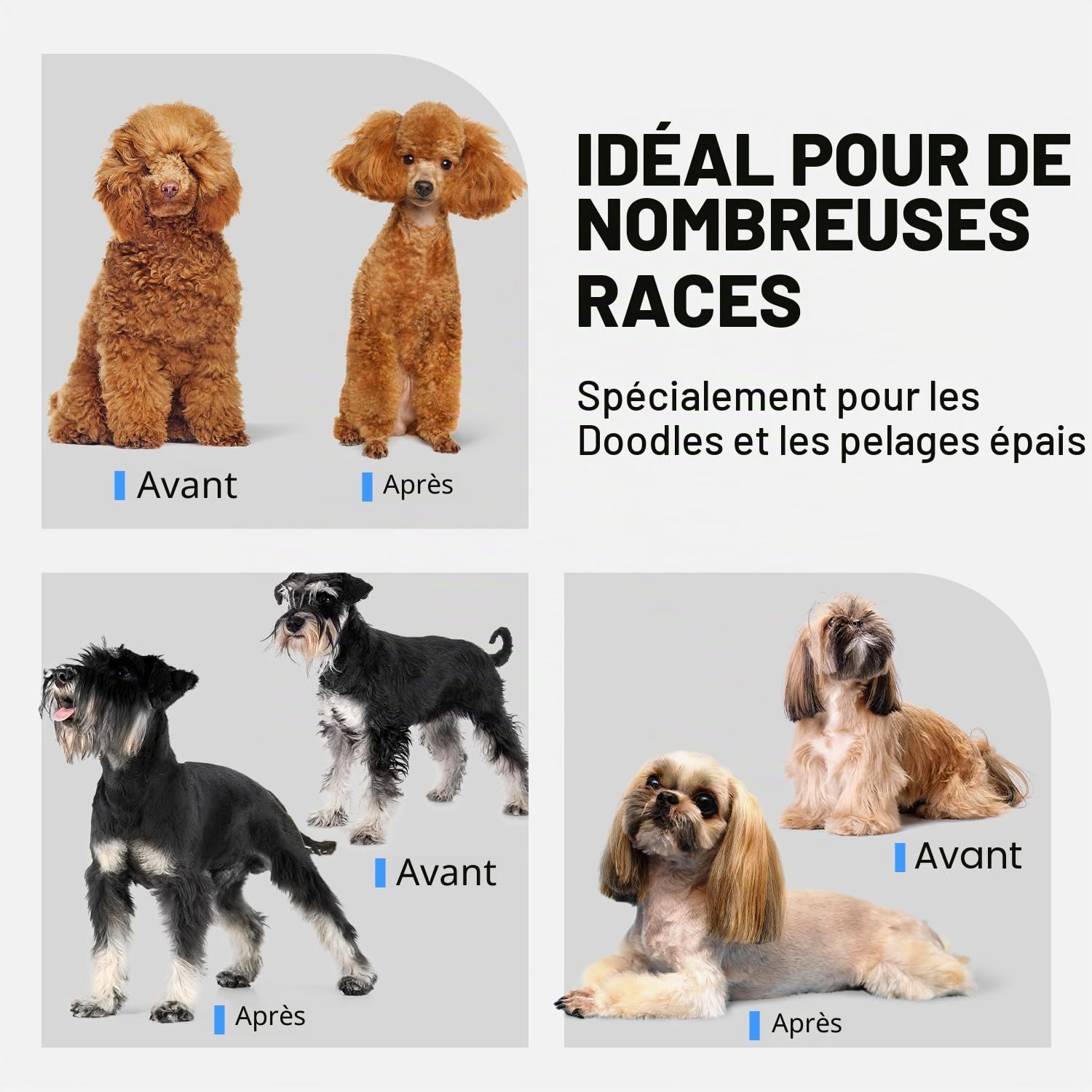 Tondeuse Chien Professionnelle pour Poils Épais – Kit de Toilettage Silencieux Rechargeable avec Lames en Céramique et Acier Inoxydable pour Chiens, Chats et Animaux