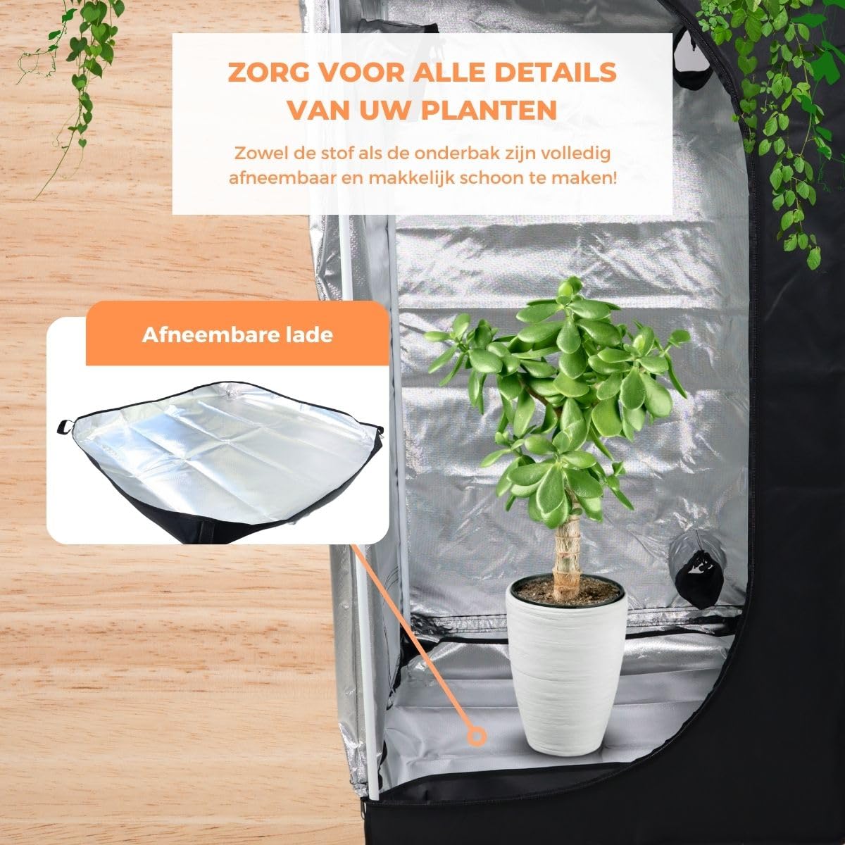 Mobiclinic®, Indoor kweektent, Growbox, Premium mylar 97% reflecterend, Hydrocultuur, Waterdicht, Verwijderbare bodem, Dikke nylon stof, Stevige structuur, Grow tent