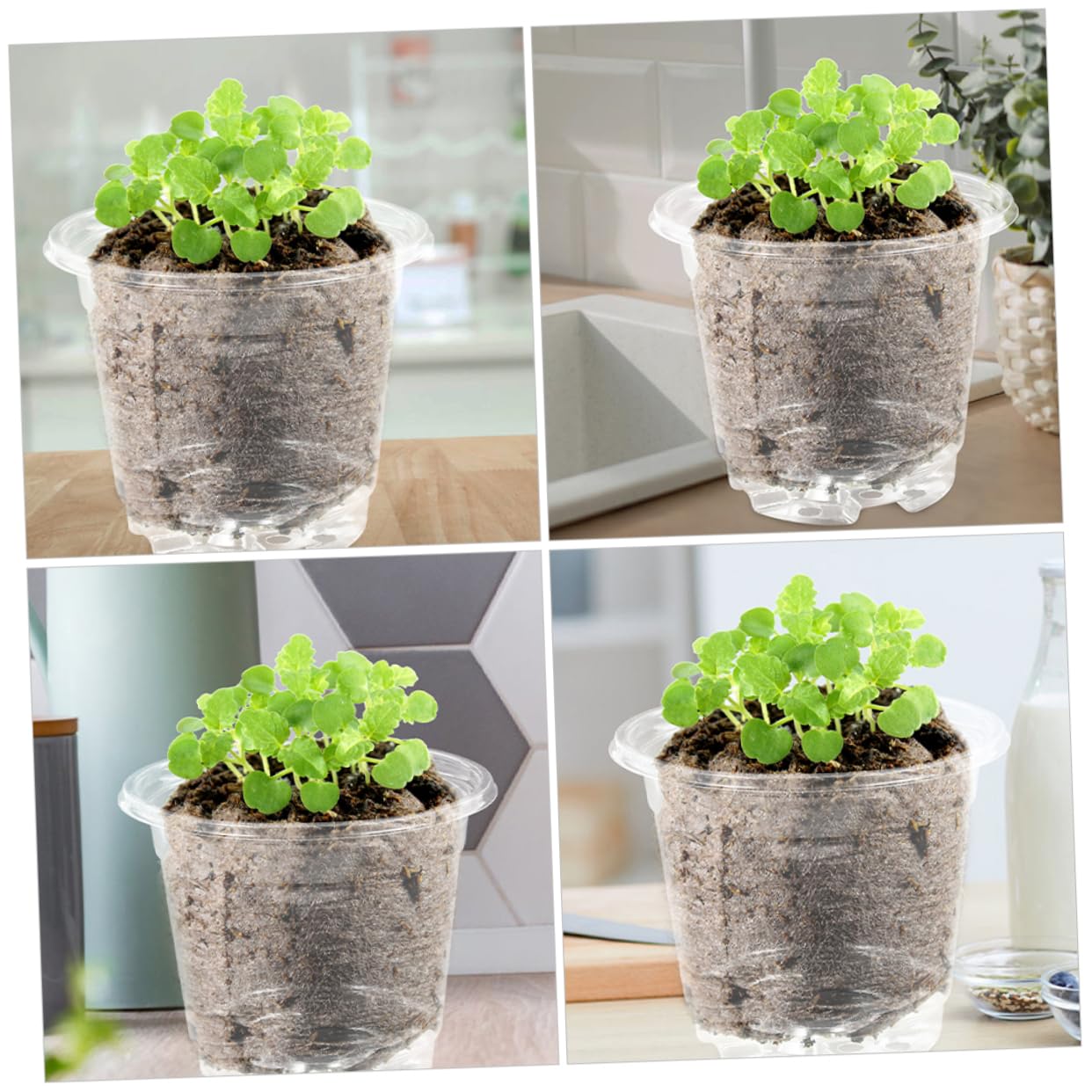 TOYANDONA Lot de 10 Sets de Petits Pots de Fleurs avec Couvercle Trous de Drainage Ajustement Température Humidité Jardinage Intérieur Extérieur