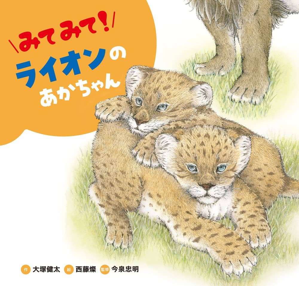 鉛筆画 ライオン 赤ちゃん 小さなライオンの子の頭の手の