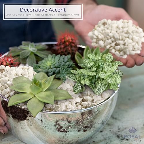 Vista 73 de Royal Imports Piedras decorativas de 5 libras, piedras de río, pinturas para acuarios de peces, grava, paisajismo, decoración del hogar natural