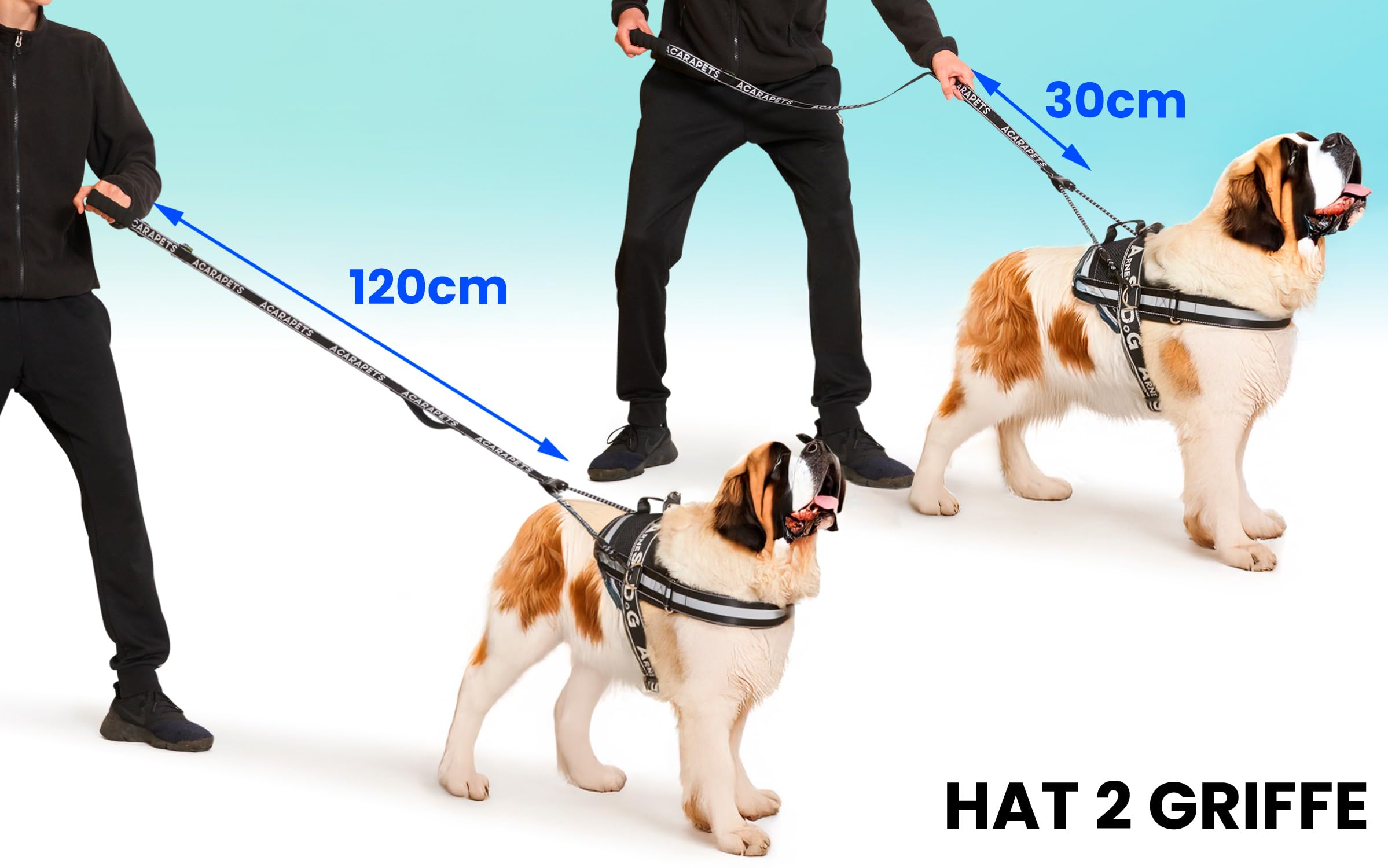 Hundegeschirr & Leine | 3 Ringe Gepolstert & Atmungsaktiv | Elastische Bifida-Linie Reflektierend Verstellbar zum Wandern Laufen (Schwarz XL mit Leine)