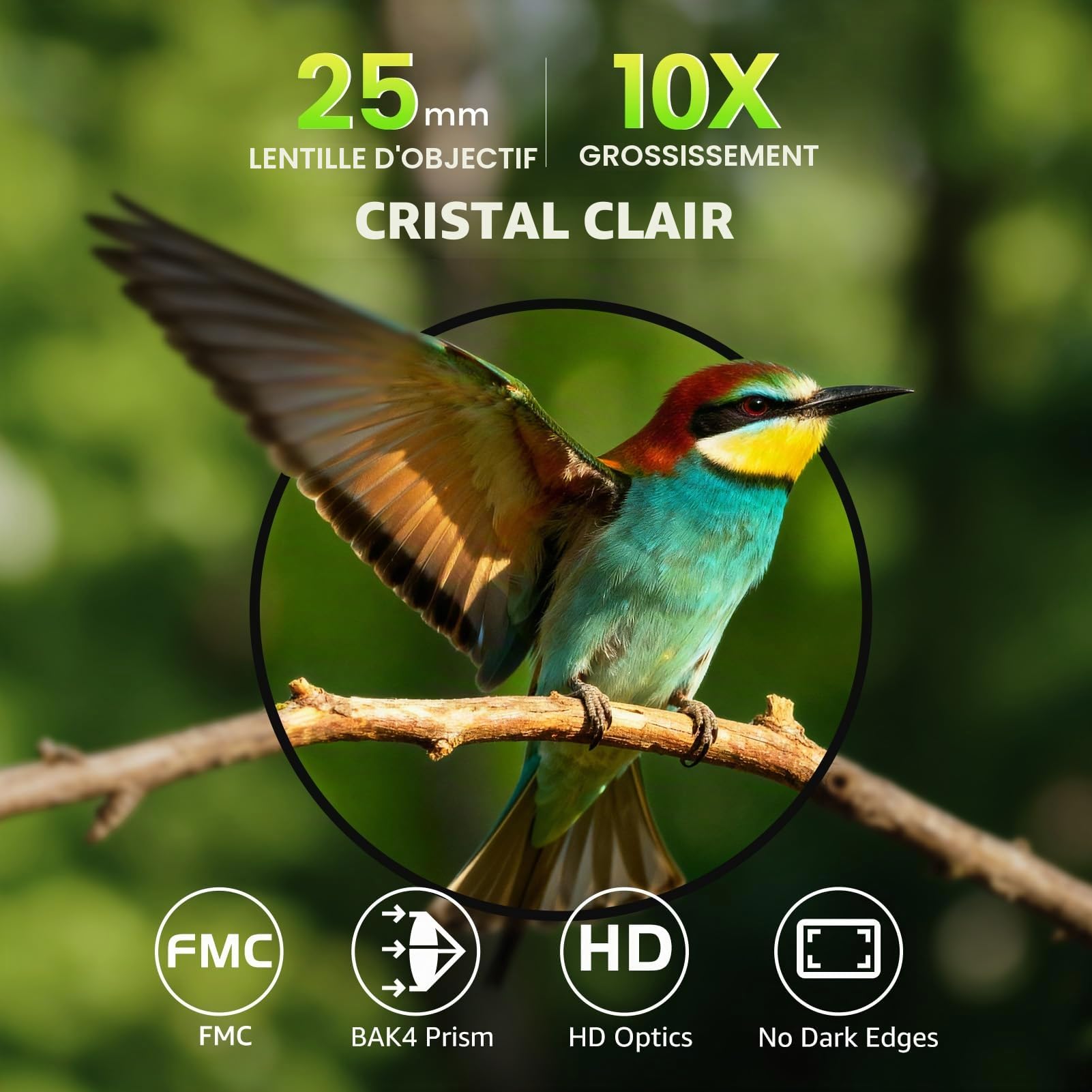 Mini Jumelles compactes Portables 10 x 25 - Lumière Faible Claire et Pliable - Idéales pour Les activités de Plein air telles Que la randonnée et l'observation des Animaux pour Adultes et