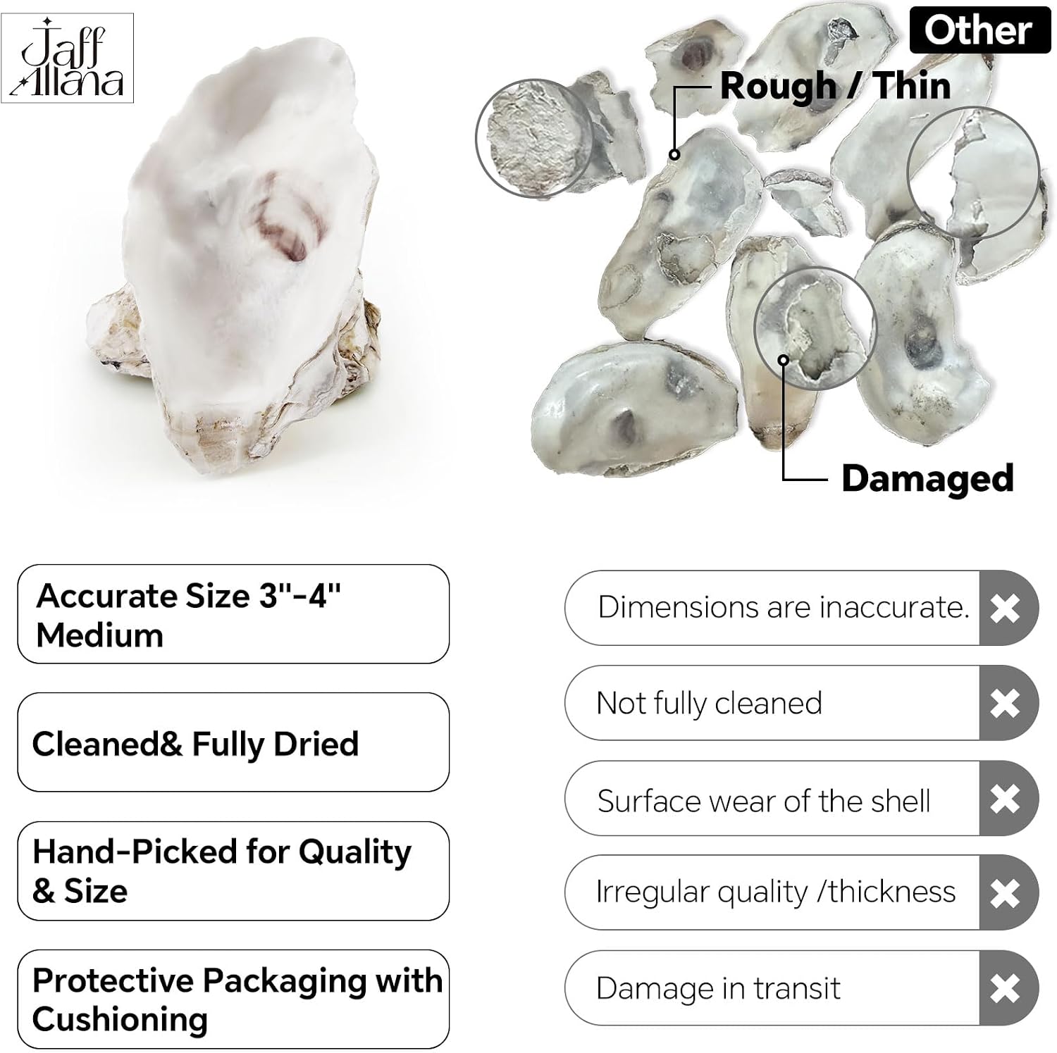 20PCS 3"-4" Medium Oyster Shells for Crafts, Concave Shells, Hand-Selected, Cleaned & Odorless Craft Oyster Shells for Coastal Art Projects, Painting, DIY, Wedding Decor, Decoupage