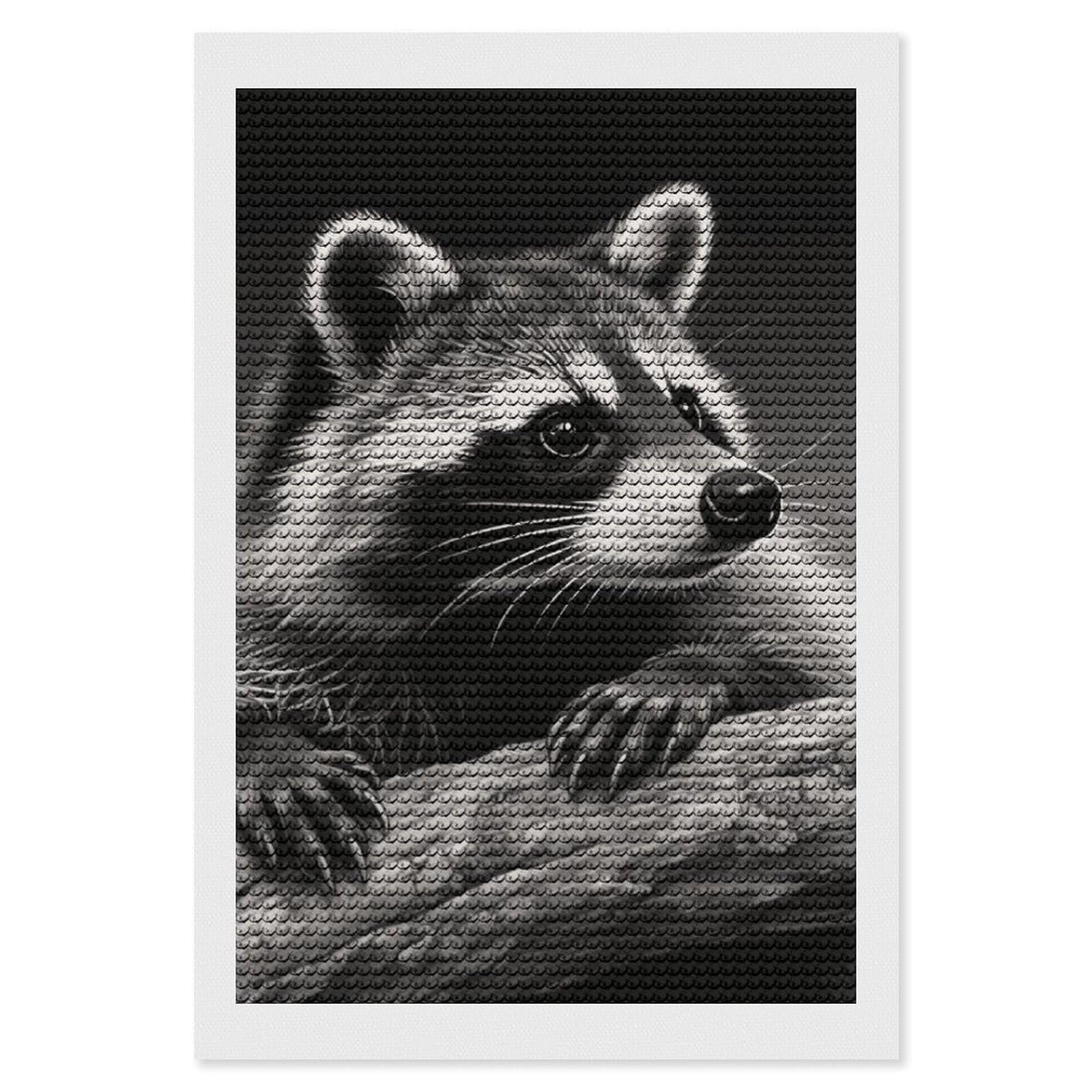 FodPand Raccoon Black 5D Diamond Painting Kits for Adults Beginners Full Drill Round Diamond Dots Pictures Gem Art Supplies for Home Wall Room Decoration DIY Craft Set Gift 8x12