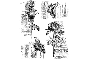 Tim Holtz Stampers Anonymous Botanic College Stamps for Card Making and Crafts CMS447