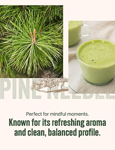 Miniatura 5 de NICE WITCH'S Aguja de pino coreano en polvo 8oz (227g) - Hoja 100% natural para té