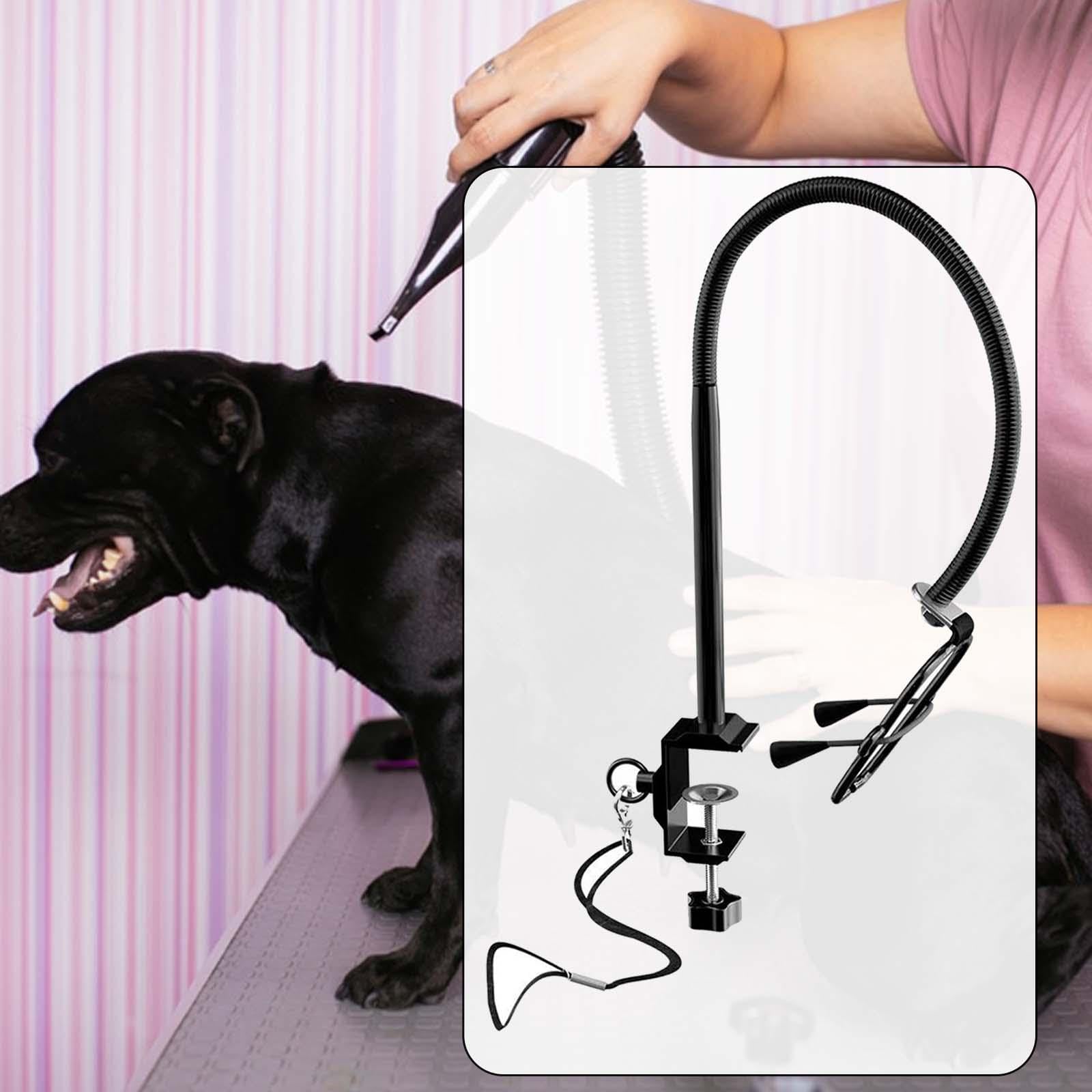Support pour Sèche-Cheveux pour Animaux de Compagnie, Table de Toilettage, Support Réglable et Robuste pour Le Toilettage des Chiens et des Chats, Version régulière