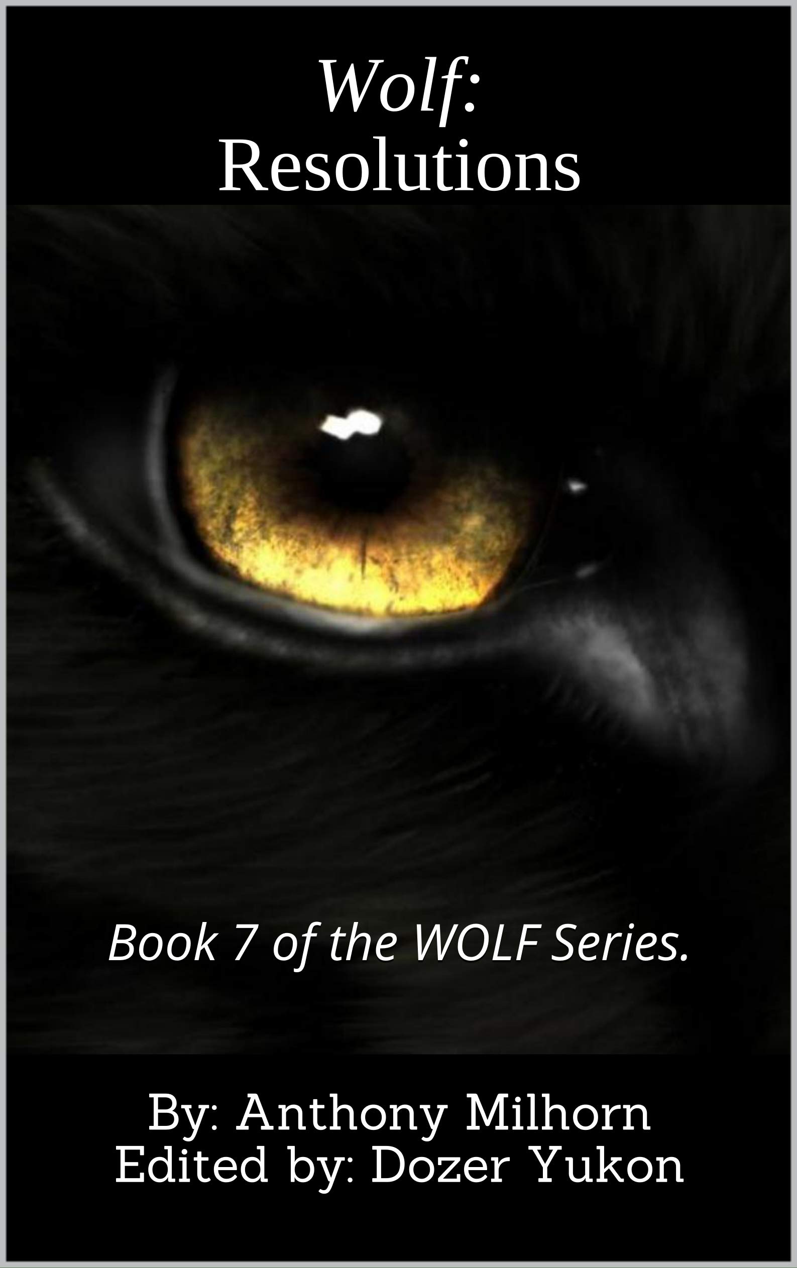 Wolf: Resolutions: Book 7 of the WOLF Series.