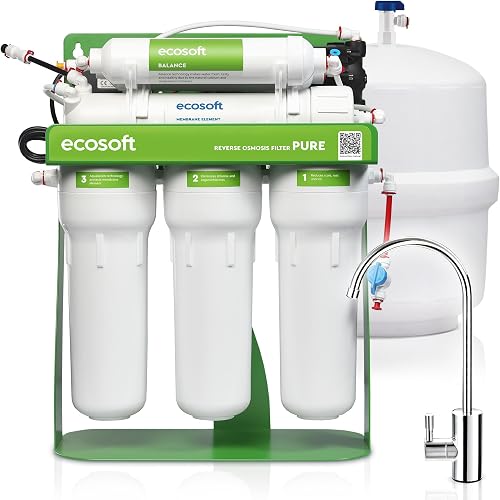 P’URE Balance avec pompe Ecosoft