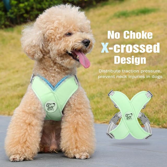 Foto 3 de 8 de Pawaboo Conjunto de arnés y Correa Ajustable para Perros pequeños