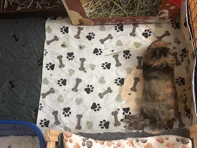 Review Image by Amazon User