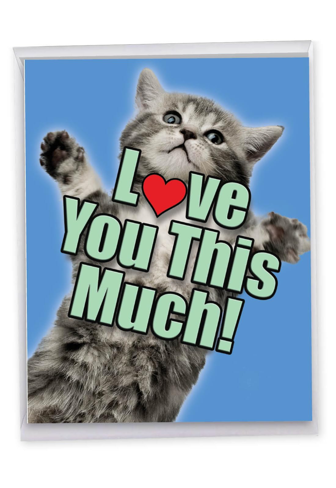 I Love You This Much Kitty I Love You More Than A Cat Loves A Box