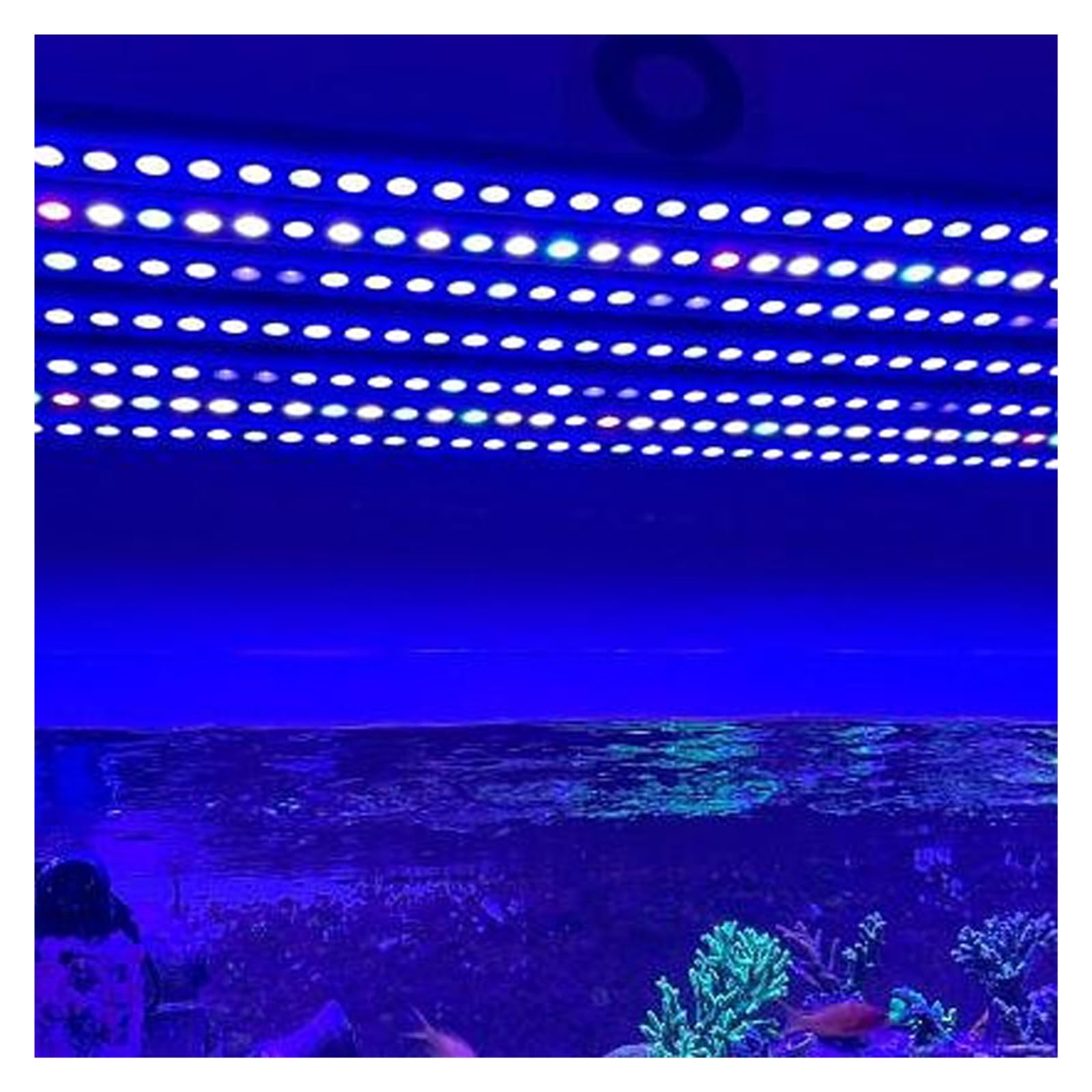 Lampa Akwariowa, Taśma led do akwarium 54W/81W światło rafy 55cm 85cm długość światło koralowe zaprojektowane niebieskie 450nm stosunek kolorów UV do akwarium z rafą koralową(55cm Blue UV)