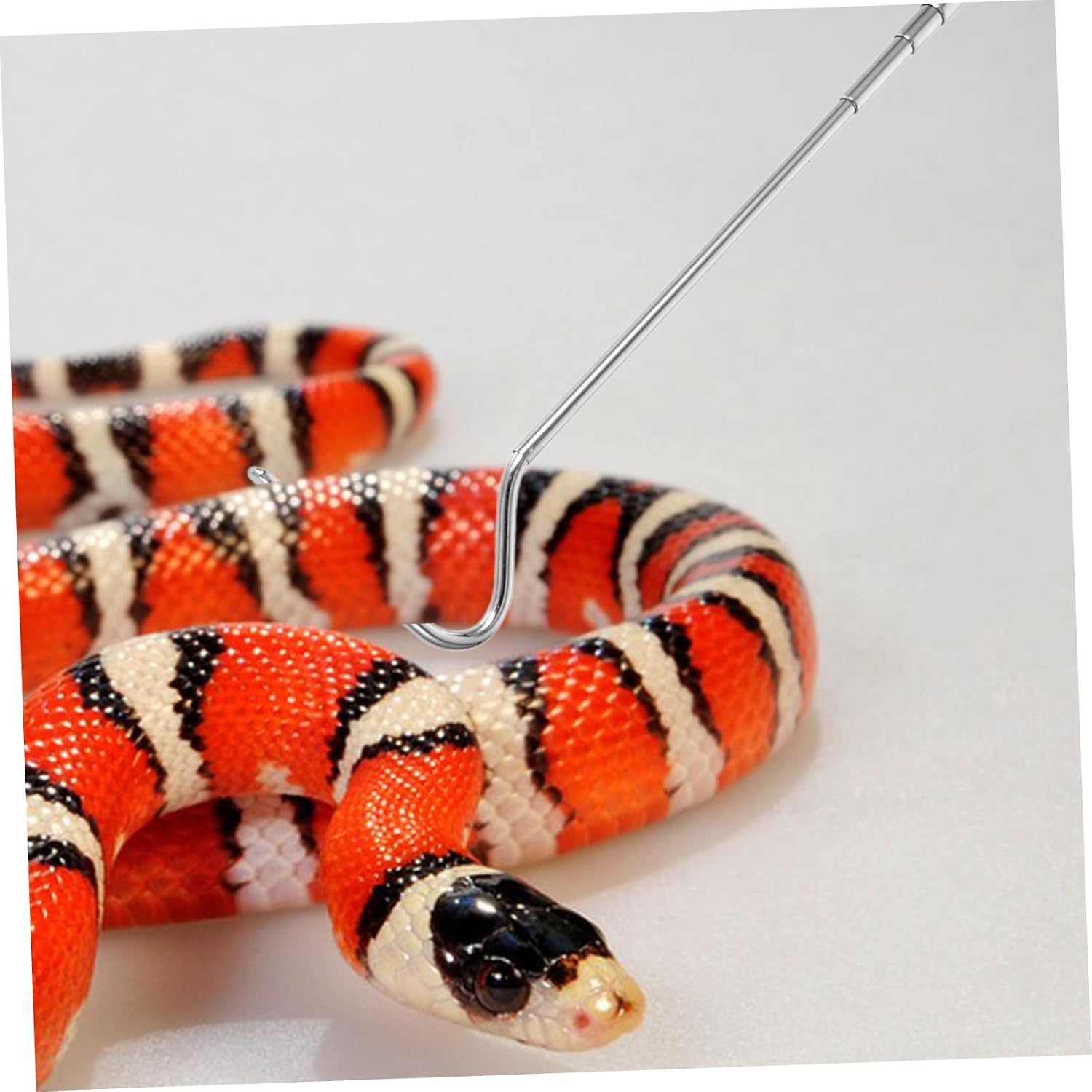 YARNOW Collapsible Snake Catching Tool Retractable Reptile Hooks Snake Catcher Tool