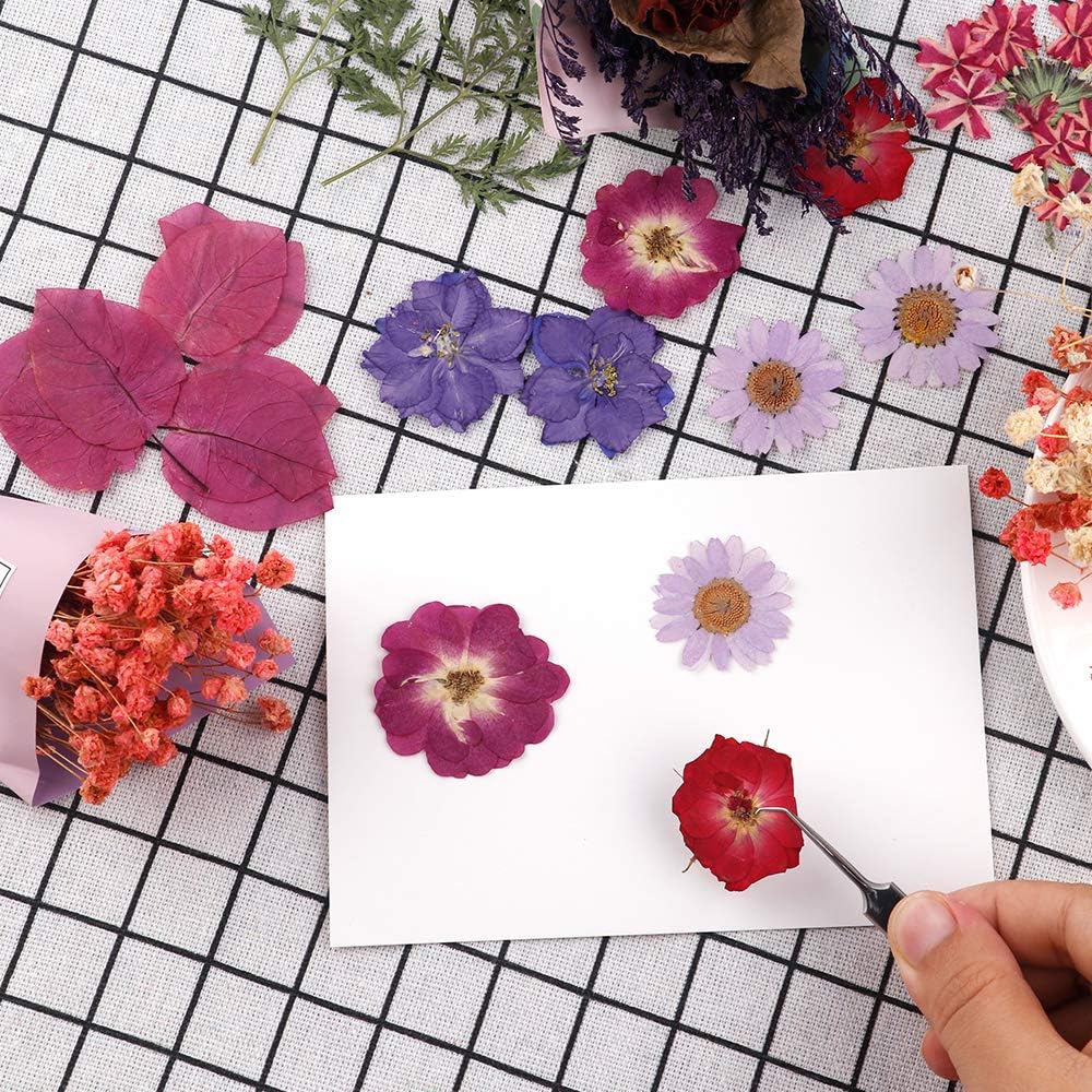 67 PCS Real Dried Pressed Flowers, Pressed Floral Leaves Herbarium Plant Bulk for Art Crafts DIY Phone Case Jewelry Nail Pendant Candle Soap Decors