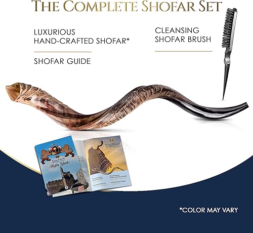 Miniatura 6 de Kudu Shofar - Instrumento musical de cuerno soplado judío kosher de Israel, instrumento musical de Kudu Shofar Angels - Medio pulidonatural (juego