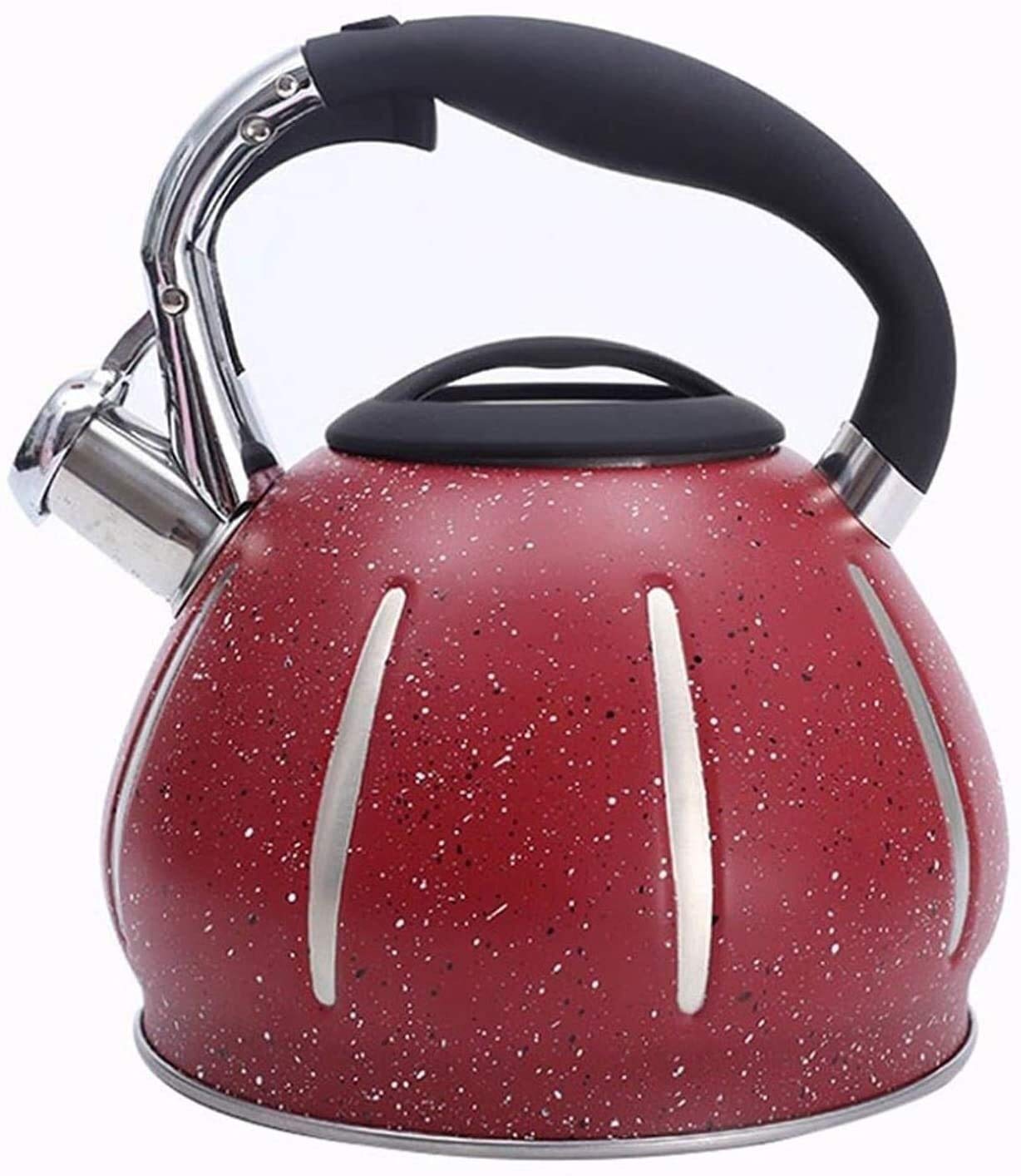 Théière sifflet cuisine SHISHI acier inoxydable bouilloire cafetière 3L durable