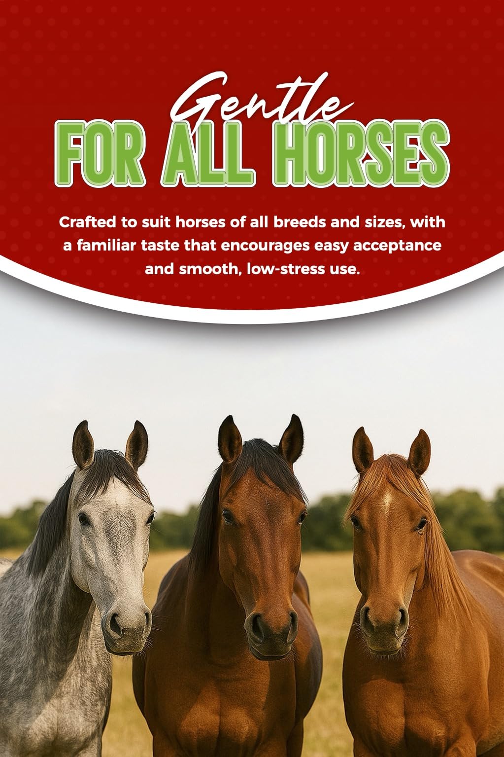 Ivermectin Horse Paste 1.87% Apple Flavor 6.08 g Tube for Horses up to 1200 lbs