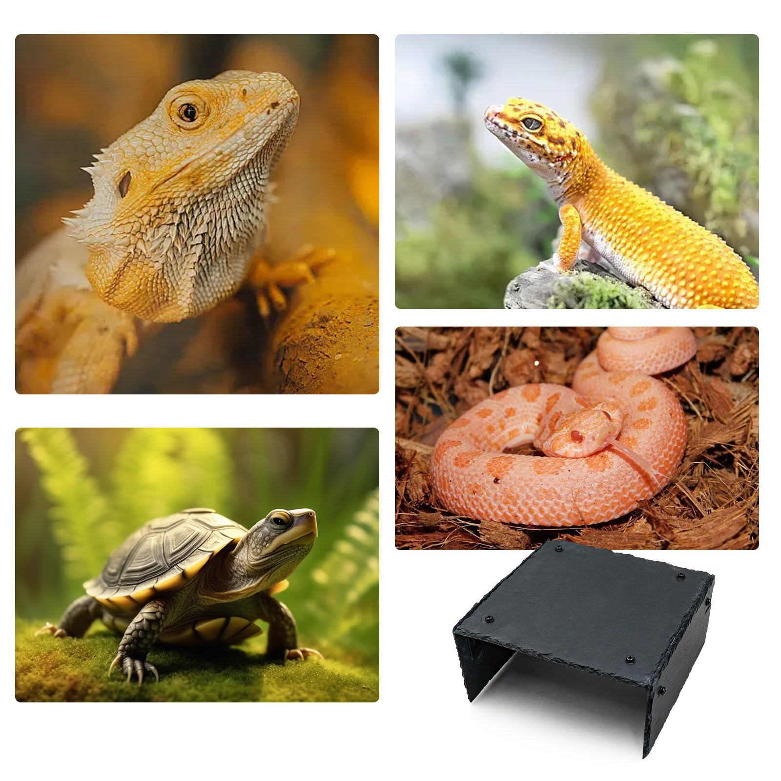 Accesorios para tanque de dragón barbudo, rocas de pizarra para reptiles, plataforma de dragón barbudo, piel de hábitat para dragones barbudos, tortuga, geco, serpiente y otros reptiles y anfibios