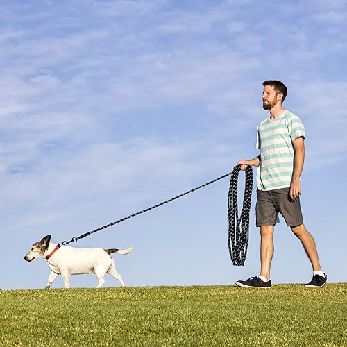 Vista 145 de Hi Kiss - Correa de entrenamiento para perros de 15, 20, 30, 50 o 100 pies, para entrenamiento de agilidad, obediencia y recuperación, jugar, Azul