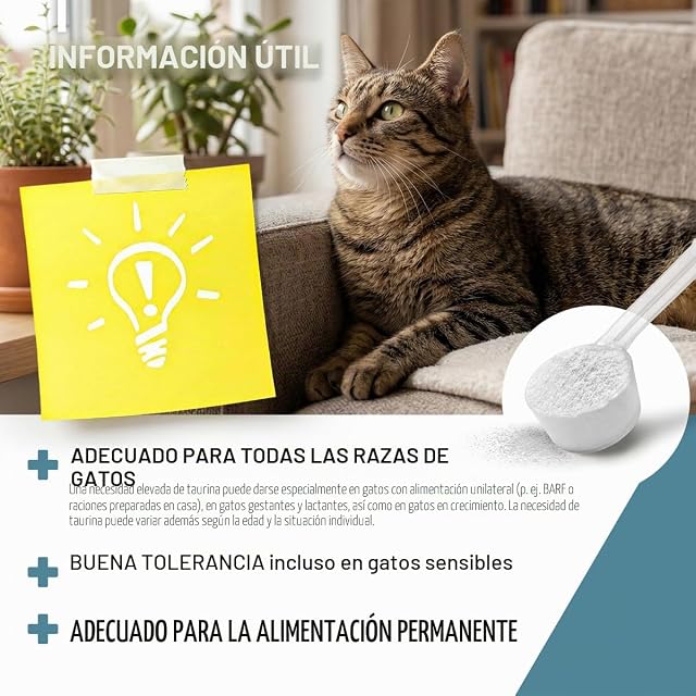 Foto 6 de 7 de ReaVET Taurina para gatos 100 g - Apoyo cardiovascular, polvo de taurina 100% puro, aminoácidos que apoyan…