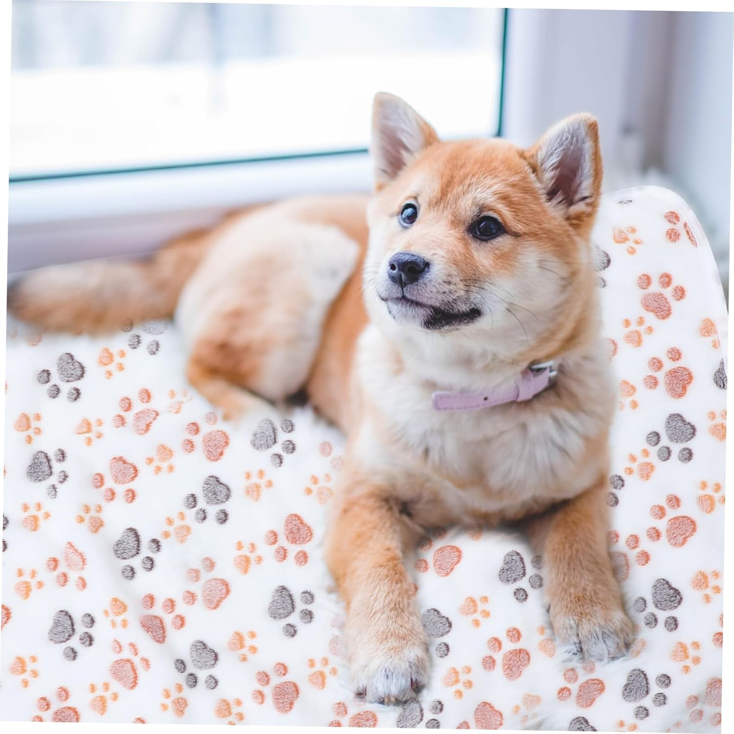 review Yardwe Blanket for Pets Doggie Blanket for Small Dogs Waterproof Dog Bed Flannel Blanket Dog Beds for Medium Dogs Kitten Blanket Dog Bed Cover Warm Pets Blanket Plush Dog The Dog
