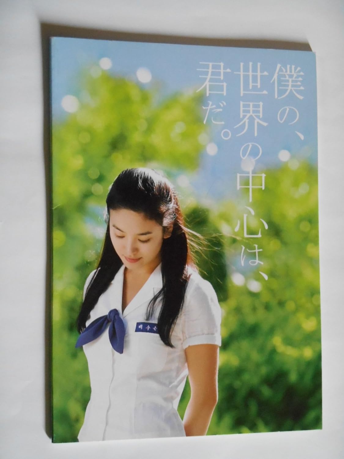 Amazon.co.jp 2006年映画パンフレット 僕の世界の中心は君だチョン・ヨンス監督 イ・スンジェ パク・ヒョジュン キム